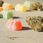 How Protein-Rich Foods Are Evolving with Sustainability and Innovation