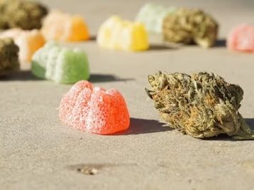 Breaking Down the Menu - What Counts as 'Savory Snacks'
