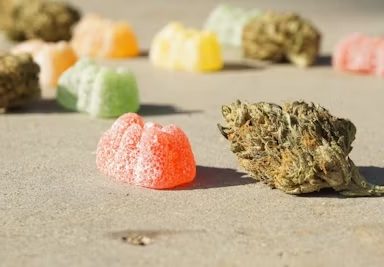 Breaking Down the Menu - What Counts as 'Savory Snacks'