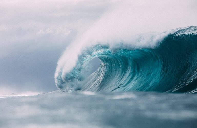 Honolua Bay: Maui's Most Perfect Point Break